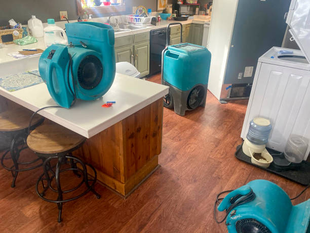 Best Water damage restoration near me  in Haddon Heights, NJ
