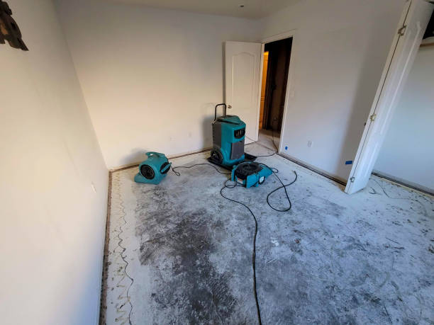 Best Local water damage restoration  in Haddon Heights, NJ