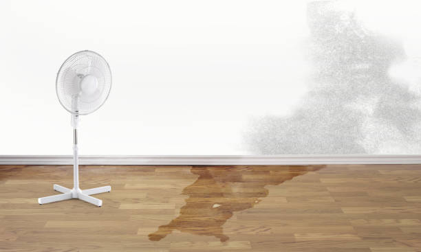 Best Commercial water damage restoration  in Haddon Heights, NJ