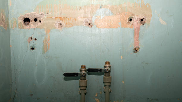 Best Basement water damage restoration  in Haddon Heights, NJ