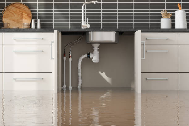 Water damage restoration insurance claims in Haddon Heights, NJ
