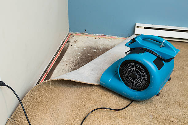 Best Carpet water damage restoration  in Haddon Heights, NJ