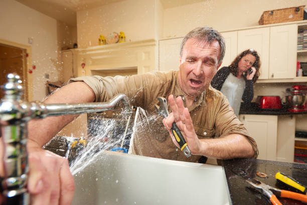 Best Mold removal after water damage  in Haddon Heights, NJ
